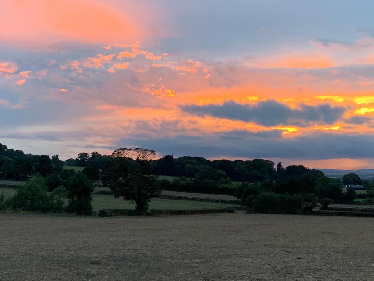 Farmhouse Studio Near Shrewsbury Grinshill Buitenkant foto
